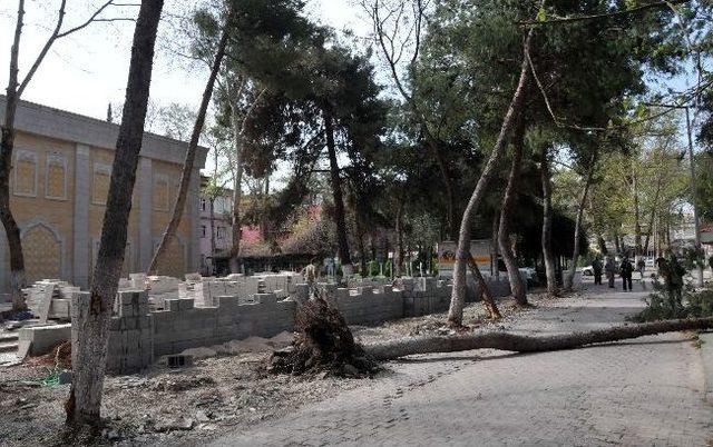 Osmaniye&rsquo;de Fırtına Ağa&ccedil;ları K&ouml;k&uuml;nden S&ouml;kt&uuml; 1