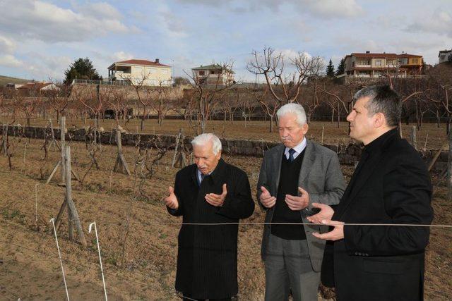 Çanakkale Şehidi Amcalarının Mezarını 96 Yıl Sonra Buldular