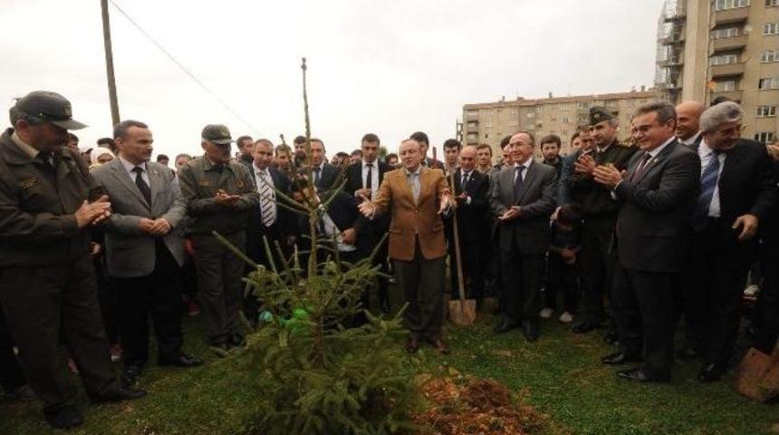 "uluslararası Ormanclık Ve Ağa&ccedil; Bayramı"