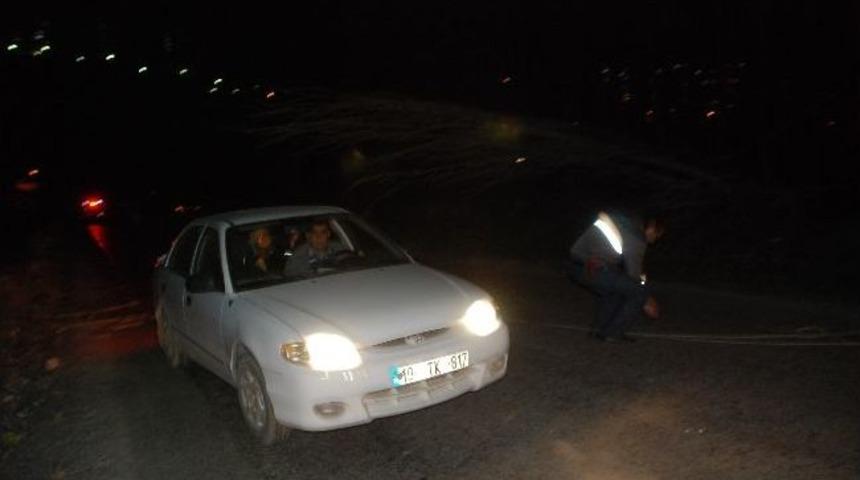 Tokat&rsquo;ta R&uuml;zgar Kavak Ağa&ccedil;larını Devirdi