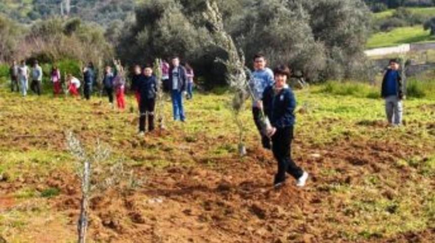 &Ouml;zel D&uuml;nya Koleji &Ouml;ğrencileri, Orman Haftası&rsquo;nda Zeytin Dikti