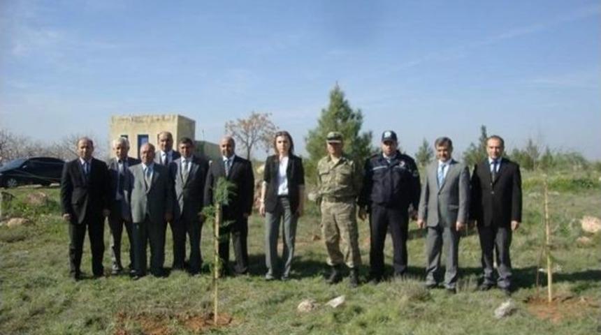 Elbeyli İl&ccedil;esinde Fidanlar Toprak İle Buluştu