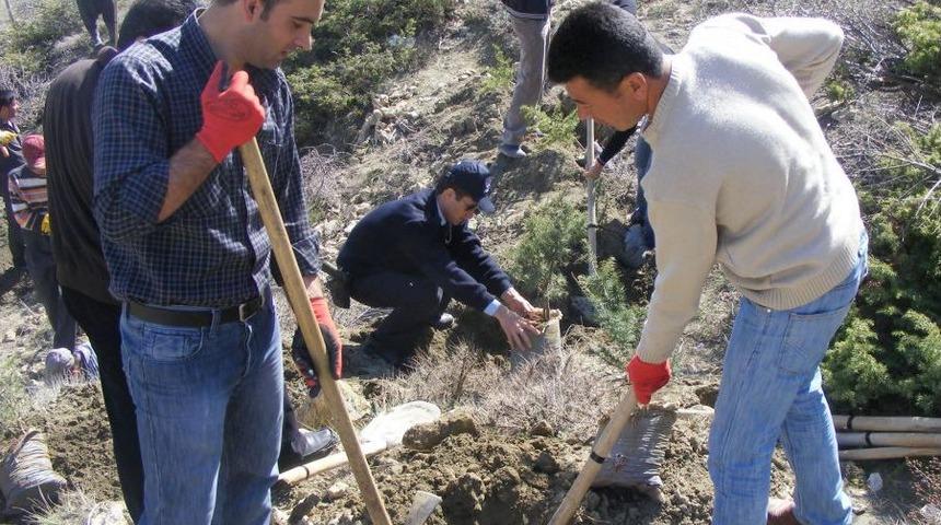&Ccedil;ağlayancerit Emniyet M&uuml;d&uuml;rl&uuml;ğ&uuml; Personeli Fidan Dikti
