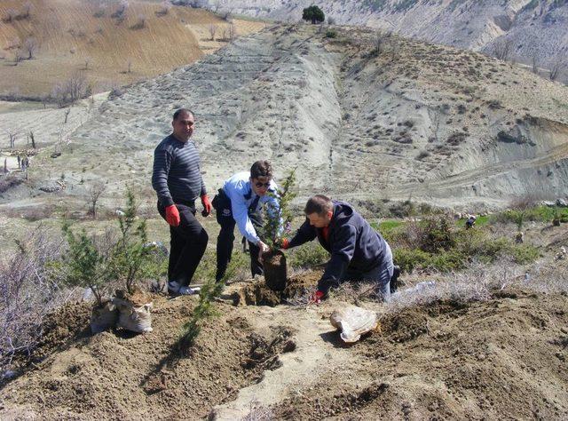 Çağlayancerit Emniyet Müdürlüğü Personeli Fidan Dikti