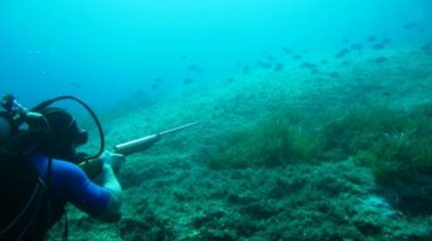 Sualtı Araştırmaları Derneği Balıkları Koruma Projesi Başlattı