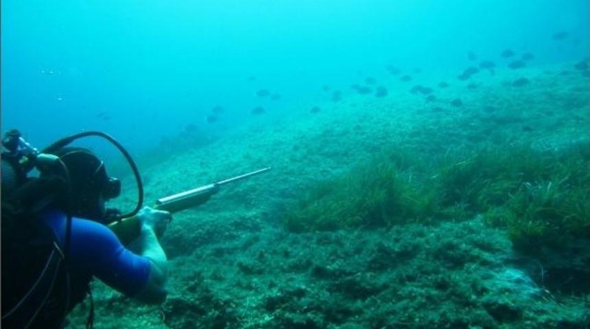 Sad&rsquo;dan Geleceği Kurtaracak Proje