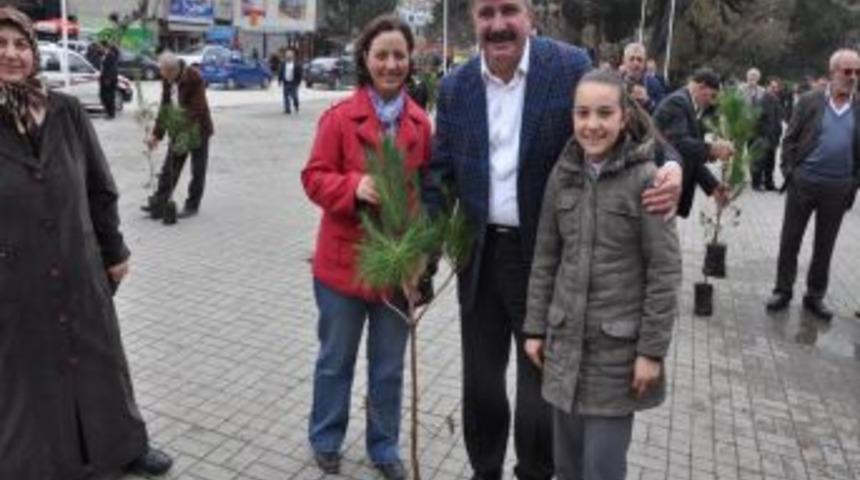 Tartar Fidan Dağıttı