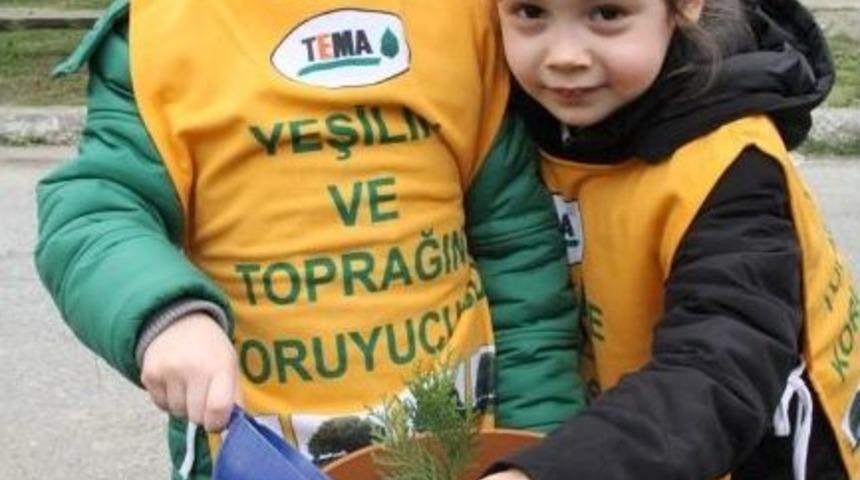 Minik Eller Fidan Dikti