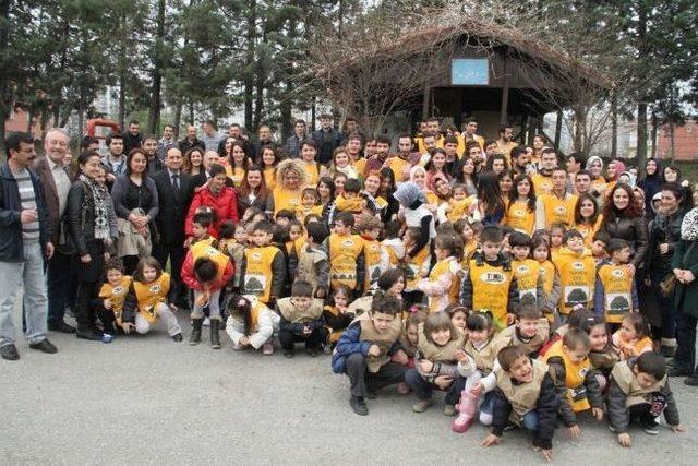 Minik Eller Fidan Dikti 1