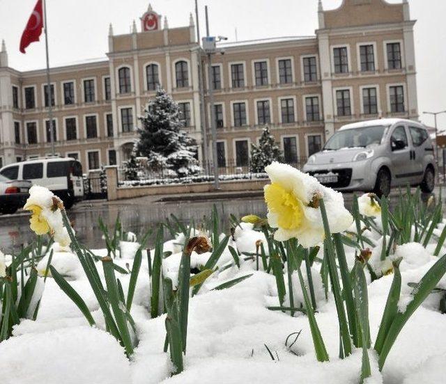 Bolu’da Kar Yağışı Kent Merkezini Beyaza Bürüdü