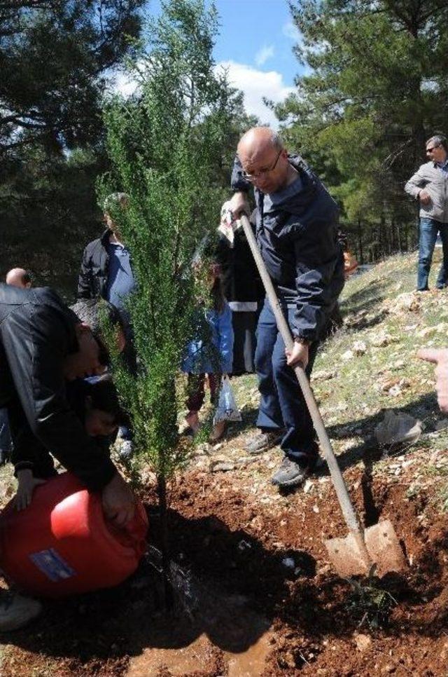 Polis Haftası Etkinlikleri Fidan Dikimiyle Başladı 1