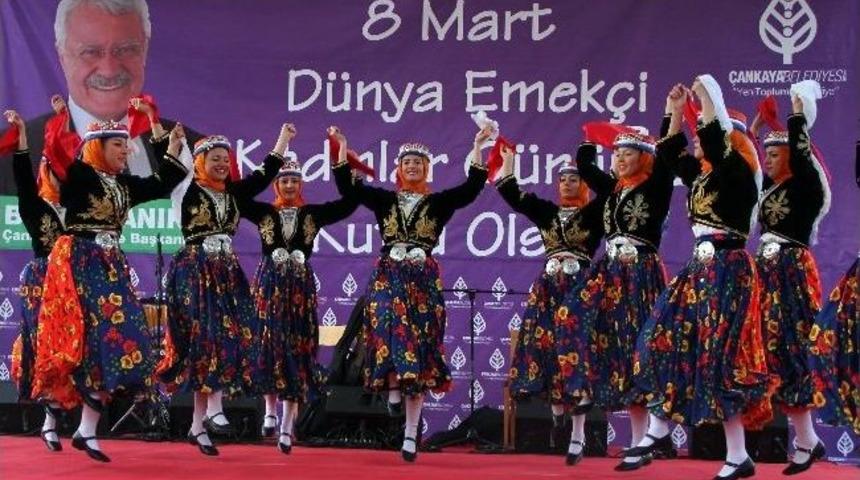 Hoy-tur Baharı Karşılıyor