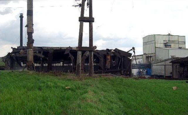 Malkara Süt Ve Süt Ürünleri Fabrikasında Patlama