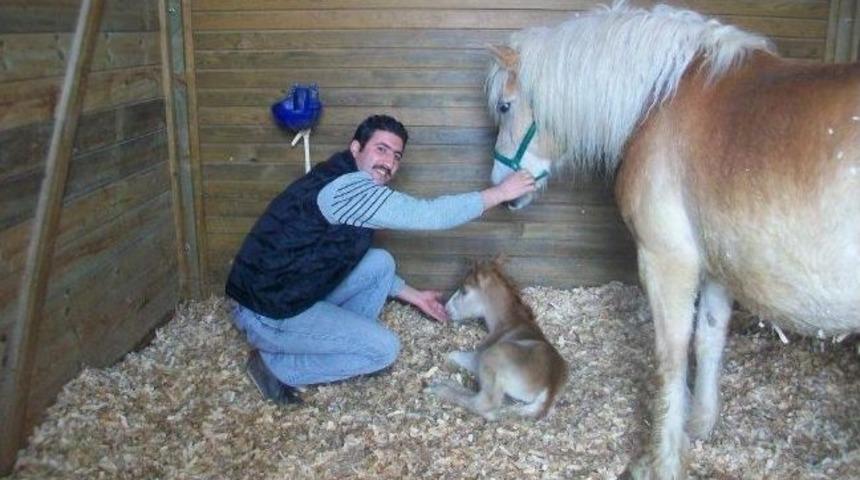 Atlı Spor Ve Rehabilitasyon Merkezi&rsquo;nde Yavru Tay Sevinci