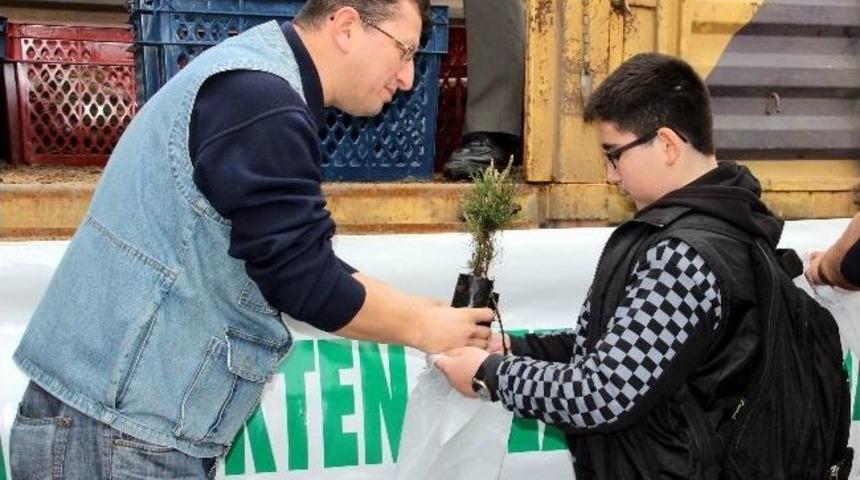 Samsun&rsquo;da 2 Bin 500 Fidan Dağıtıldı
