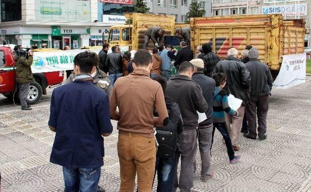 Samsun’da 2 Bin 500 Fidan Dağıtıldı