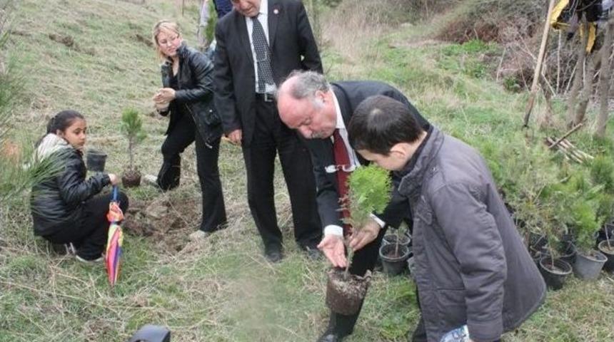 İpsalalı &Ccedil;ocuklar, Ormanlarına Kavuştu