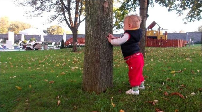 Dayko Edirne Temsilcisi Bacıoğlu&rsquo;ndan Yeşil Alan &Ccedil;ağrısı