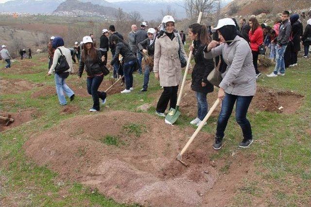 Şebinkarahisar Meslek Yüksekokulu Bahçesine 23 Bin Fidan