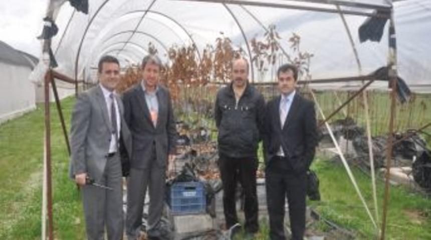 Topraksız Fidan Projesi Ilgi G&ouml;rd&uuml;, &Ouml;zel Şirketler De &Uuml;retecek