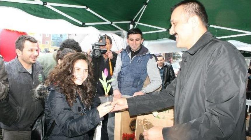 D&uuml;zce Belediyesinden Vatandaşlara 15 Bin Lale