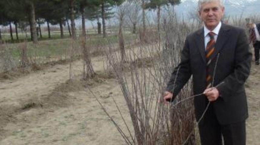 Erzincan&rsquo;da Meyve Fidanı &Uuml;retimi Arttı