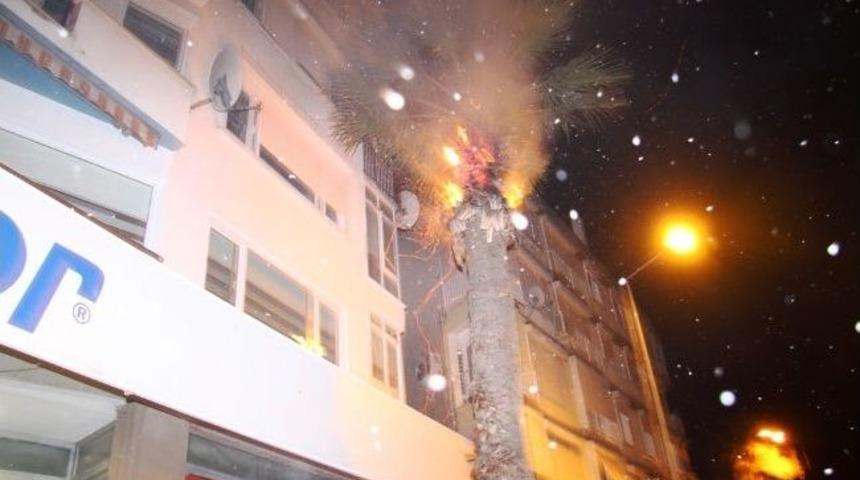 Atılan Sigara İzmariti Faciaya Neden Oluyordu