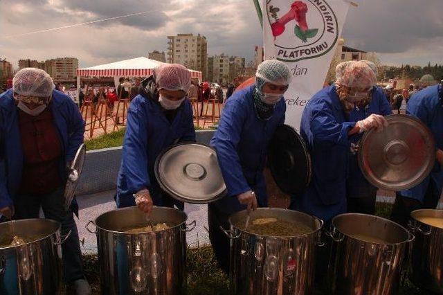 Kadirli&rsquo;de Tırşik Şenliği 1