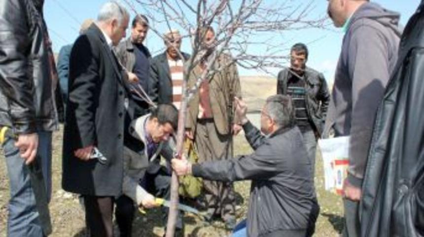 Muş'ta &Ccedil;ift&ccedil;i Eğitimleri Başladı