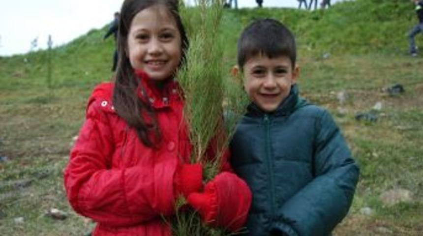 Diyarbakırlı Doğaseverler 10 Bin Fidan Dikti