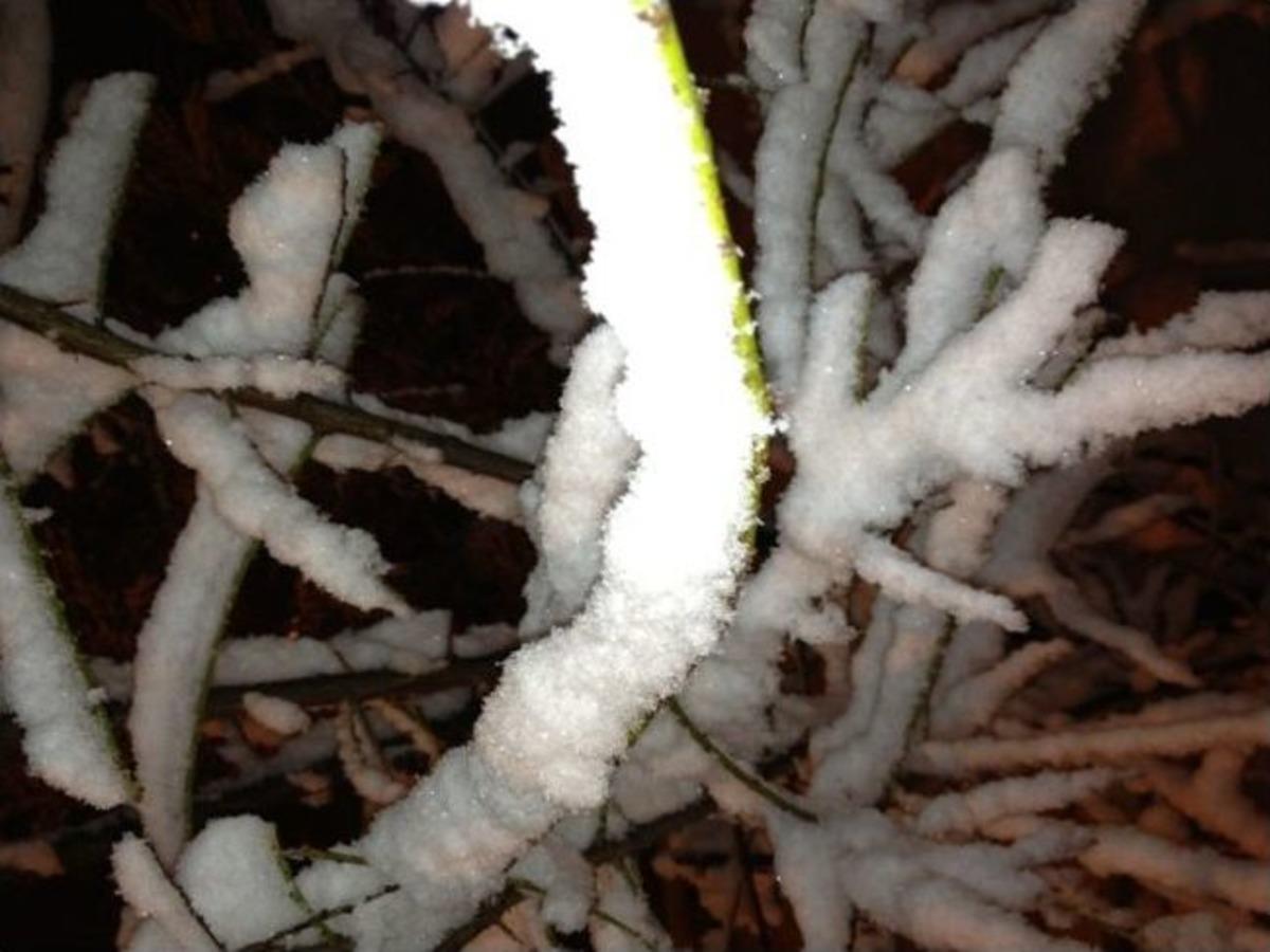 Bitlis&rsquo;te Kar Yağışı