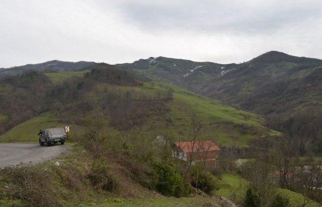 Ereğli’de Bal Ormanları Oluşturuluyor