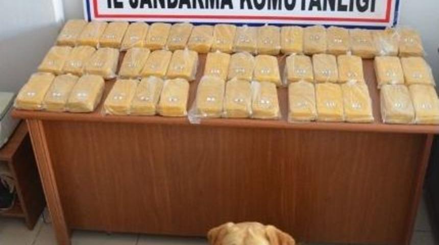 Jandarmadan Uyuşturucu Operasyonu