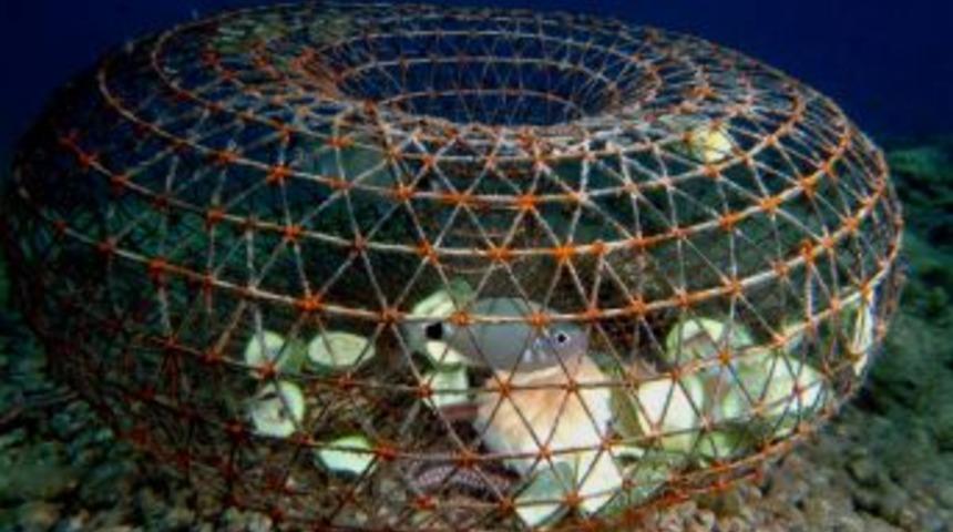 Denizdeki &lsquo;hayalet Ağlar&rsquo; Temizlenecek