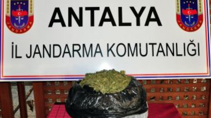 Alanya'da 3,5 Kilogram Esrar Ele Ge&ccedil;irildi