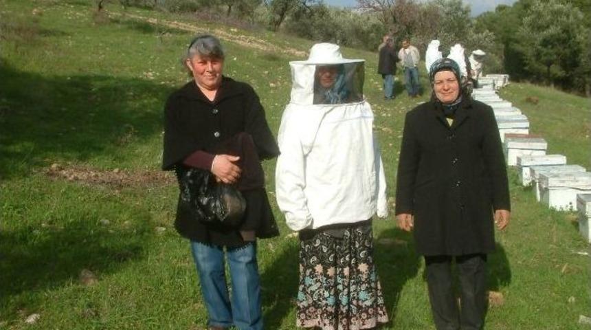 Burhaniye&rsquo;de Kadınlar Da Arıcı Oldu
