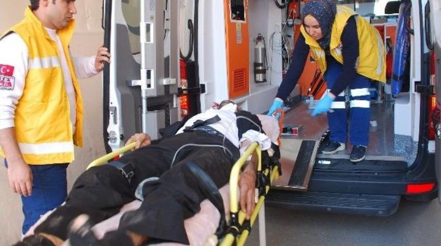 Kuş U&ccedil;urtmak İsterken Elektrik Akımına Kapıldı