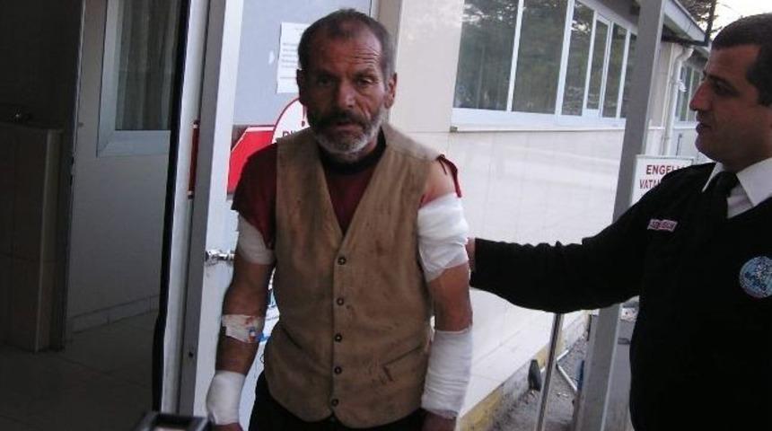 K&ouml;peklerin Saldırdığı Şahıs Yaralandı