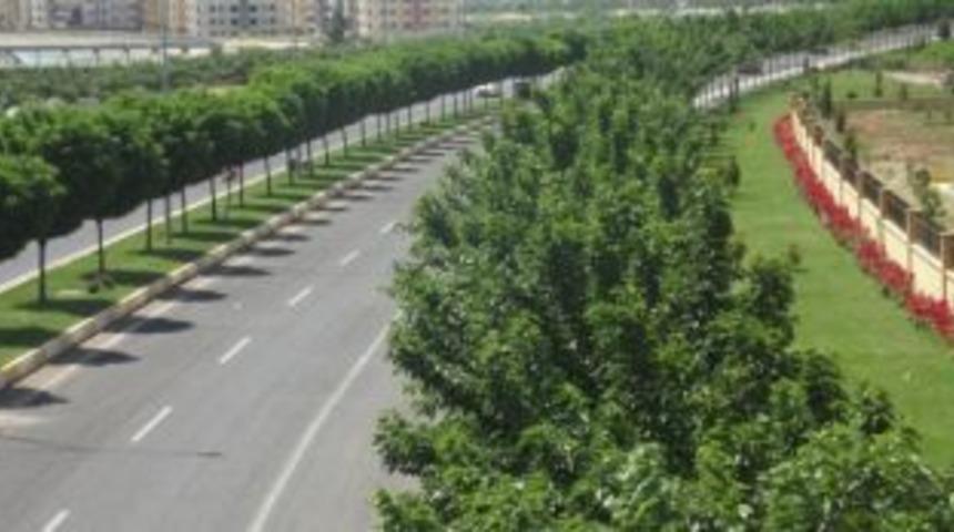 Şanlıurfa&rsquo;da Yeşil Seferberlik