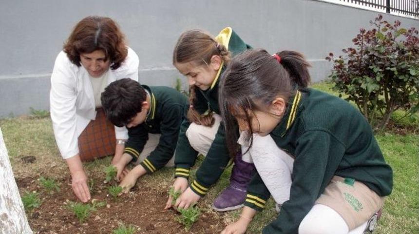 Akdeniz'in "çevreci" Öğrencileri