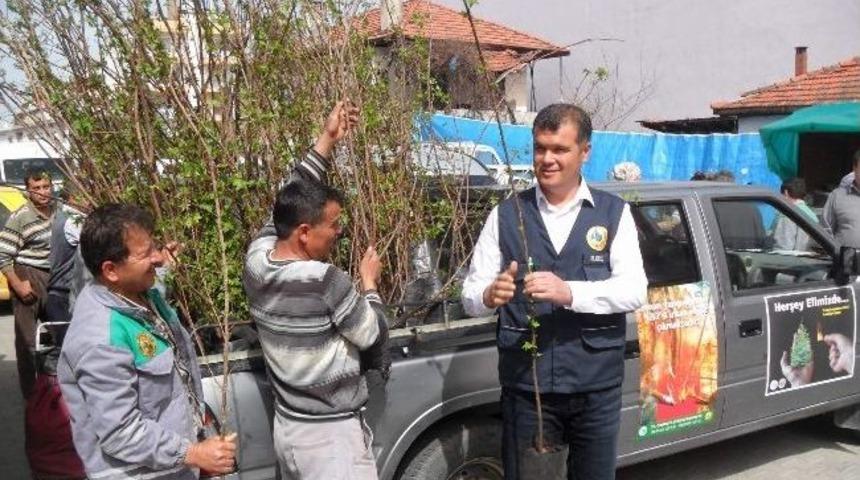 Ortaca Ve Dalaman&rsquo;da 6 Bin Fidan Toprakla Buluştu