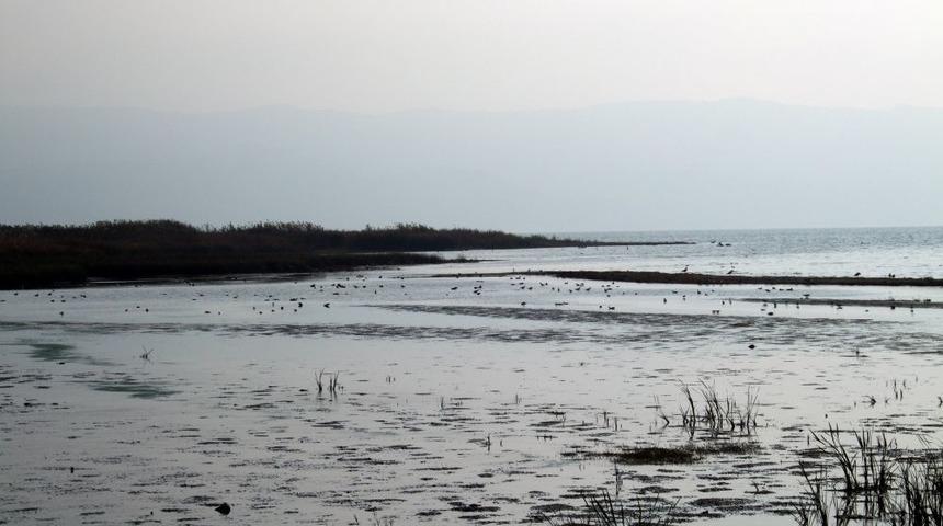 Kuş G&ouml;&ccedil; Yolu &Uuml;zerindeki Bursa&rsquo;da 93 T&uuml;rde 43 Bin Kuş Bulunuyor