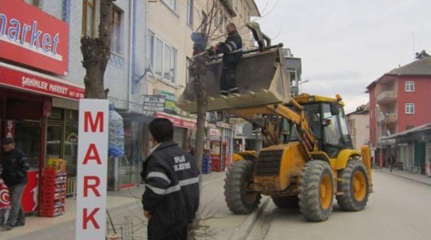 Eflani Belediyesi'nden Ağa&ccedil;lara Bahar Bakımı