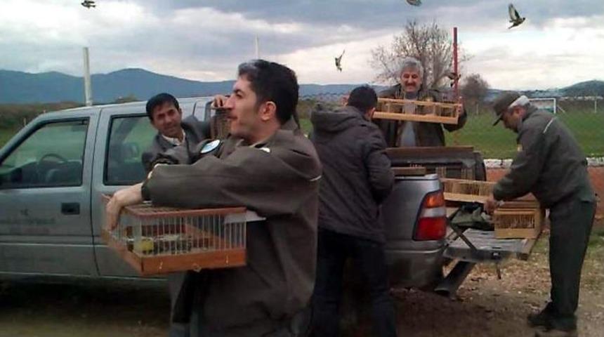 Sakalar &Ouml;zg&uuml;rl&uuml;ğ&uuml;ne Kavuştu