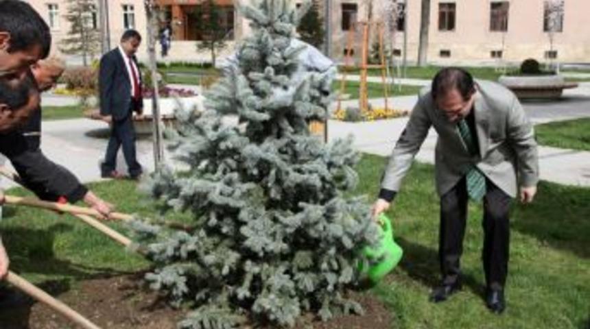 &Ccedil;orum Valisi Başk&ouml;y Mesaisine Ağa&ccedil; Dikerek Başladı