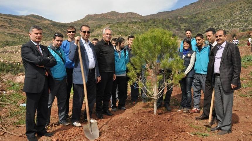 İzmir'de Iki Yıl &Ouml;nce Yanan Alana 1 Milyon Fidan Dikildi