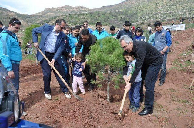 İzmir'de Iki Yıl Önce Yanan Alana 1 Milyon Fidan Dikildi