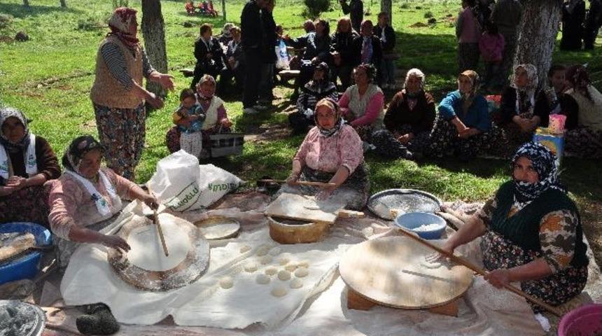 Chp'li Kadınlar, Ahmetli'de Fidan Dikti