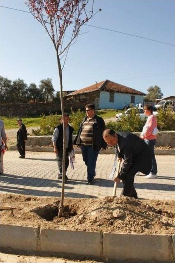 Çine’de Ağaç Bayramı Şenlik Havasında Kutlandı G3