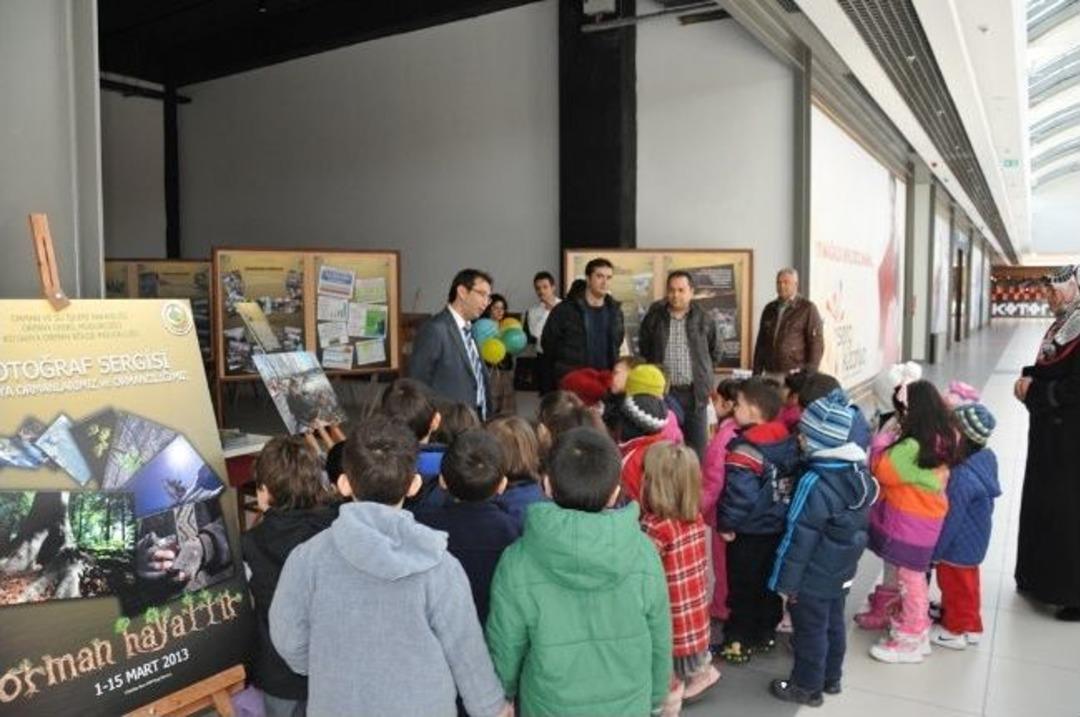 K&uuml;tahya'da 'orman Hayattır' Konulu Fotoğraf Sergisi